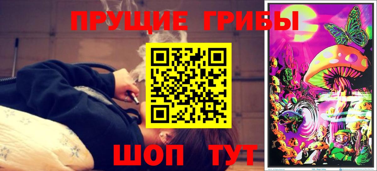 Псилоцибиновые грибы Psilocybe Чехов