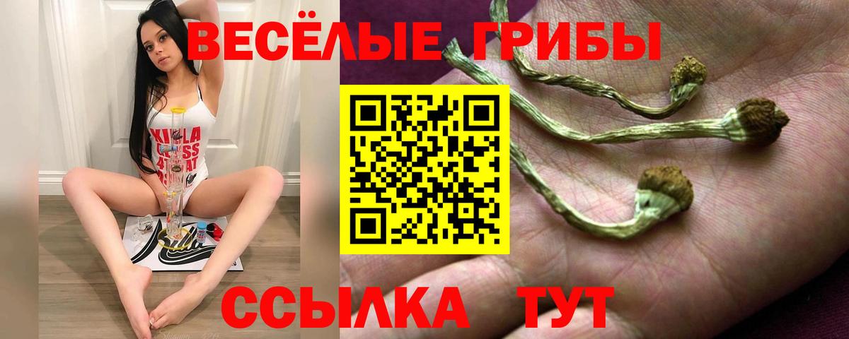 Чехов  NBOMe  Марихуана  Вход с VPN  ГАШИШ  Меф кристаллы 